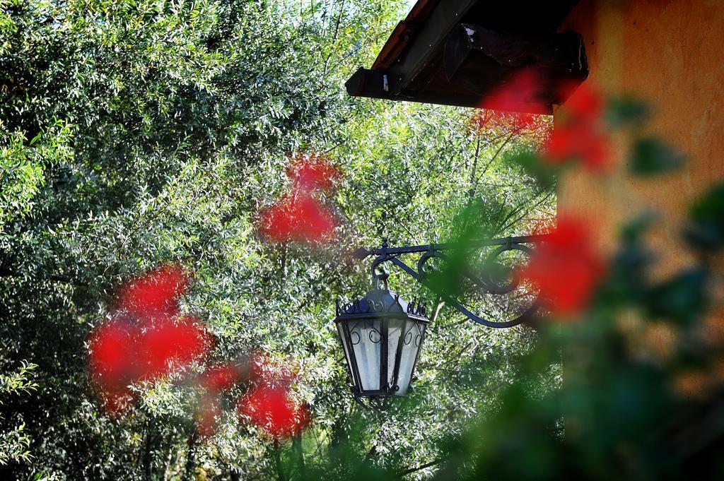 L'Antica Mola Vila Castel Madama Quarto foto