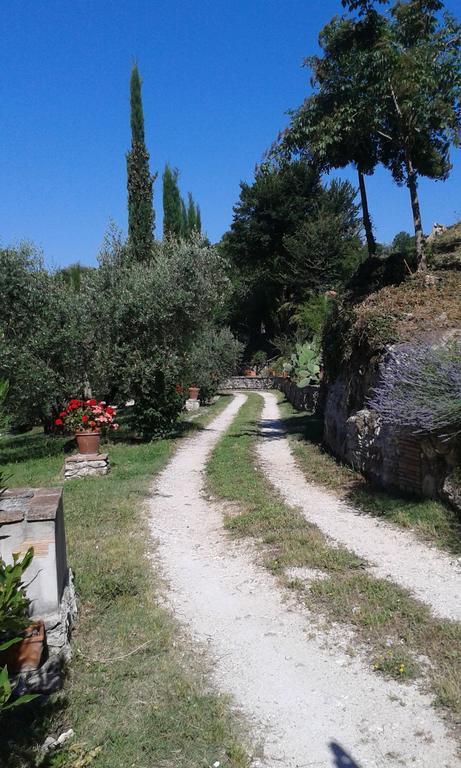 L'Antica Mola Vila Castel Madama Quarto foto
