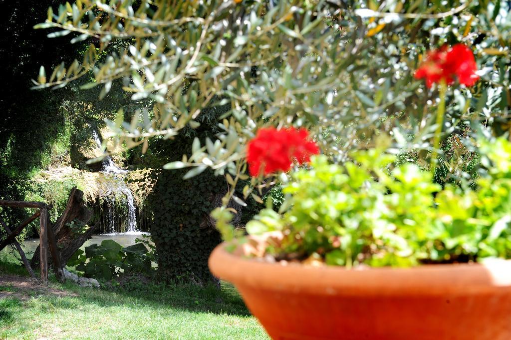 L'Antica Mola Vila Castel Madama Quarto foto