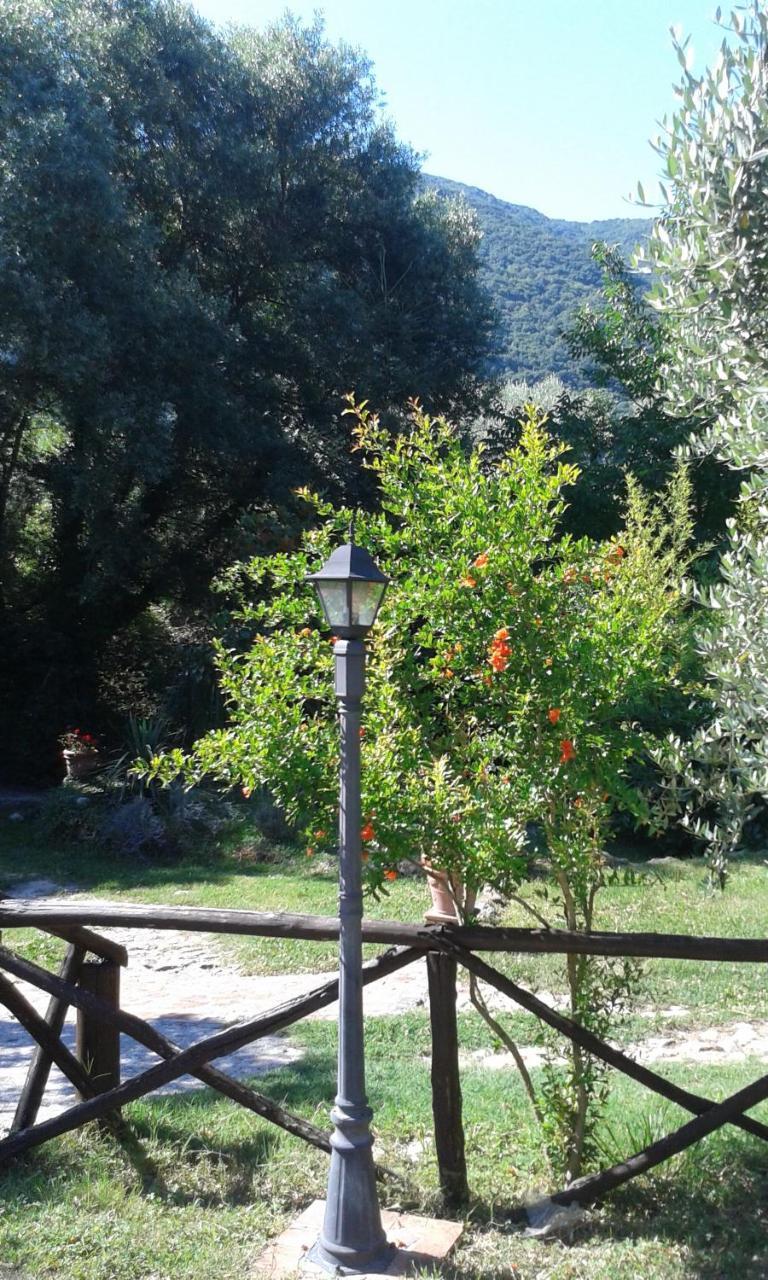 L'Antica Mola Vila Castel Madama Exterior foto